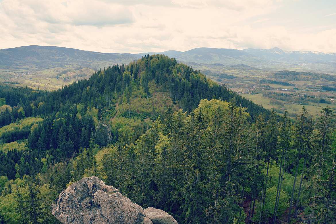 Krzyżna Góra porośnięta lasem na tle Karkonoszy widoczna z Sokolika.